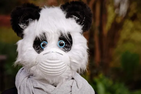 Bet9 Casino Ënnerstëtzung